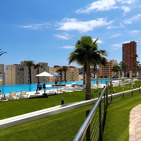 Sunset Cliffs Sea View Apartments 14 Floor Бенидорм Екстериор снимка